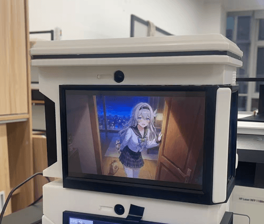 Working LYNOOK enclosure prototype displaying a real-time 3D character scene